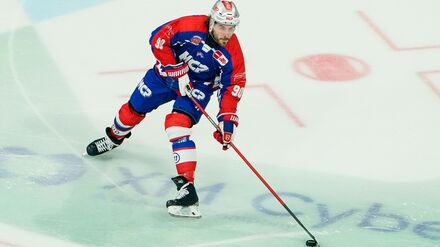 Deutsche Eishockey Liga: Achillessehne von Kufe aufgeschlitzt: Saison-Aus für Braun