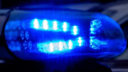 Nationalsozialistische Schmiererei an Geb&auml;ude: Extremisten f&auml;llen B&auml;ume auf Schulgel&auml;nde in Berlin-Karlshorst