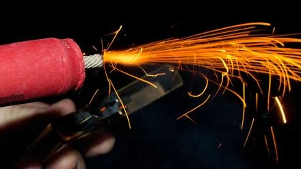 Silvester: Tiere unter B&ouml;ller-Stress: Nabu fordert ruhige Zonen