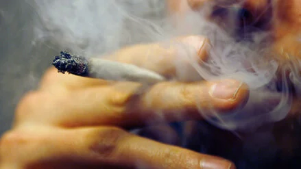 &bdquo;Dieser Fehler muss 2026 korrigiert werden&ldquo;: Bayern will Cannabis-Legalisierung komplett kippen