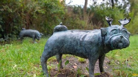 Ampel-Motive: Initiative will Loriot-Mops auf Fu&szlig;g&auml;ngerampeln bringen