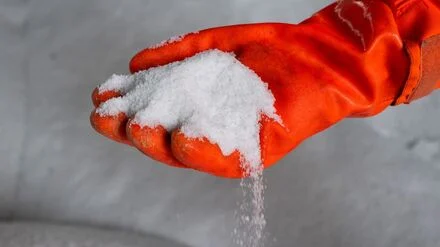 &bdquo;Verst&ouml;&szlig;t gegen das Verbot, B&auml;umen zu schaden&ldquo;: Auch &bdquo;Baumentscheid&ldquo;-Mitbegr&uuml;nder will Berliner Streusalz-Verf&uuml;gung anfechten