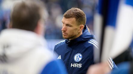 2. Fu&szlig;ball-Bundesliga: Dzeko-Zauber reicht Schalke nicht: Darmstadt nun Erster