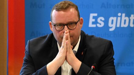 Ehefrau des Landesvorsitzenden in Bundestagsb&uuml;ro besch&auml;ftigt: Vorwurf der Vetternwirtschaft auch gegen Niedersachsen-AfD