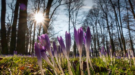 Endlich 17 Grad!: Tipps f&uuml;r den erwachenden Fr&uuml;hling in Berlin