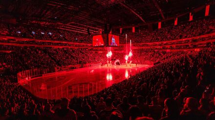 Deutsche Eishockey Liga: K&ouml;lner Haie brechen eigenen Zuschauerrekord