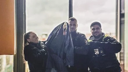 Tiere: Polizisten retten Schwan von Balkon