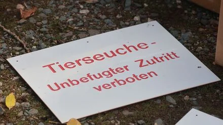 Tierhaltung: Newcastle-Krankheit: Weitere 200.000 V&ouml;gel werden get&ouml;tet