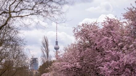 Zwischen &ndash;6 und 16 Grad: Fr&uuml;hlingswetter in Berlin bleibt wechselhaft