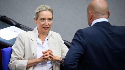 Nur Kenia-Koalition m&ouml;glich: AfD steigt im &bdquo;Politbarometer&ldquo; wieder auf Rekordniveau