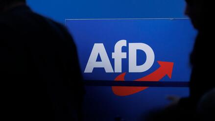 Sieben Prozentpunkte vor Union: AfD erreicht mit 29 Prozent Umfrage-H&ouml;chstwert