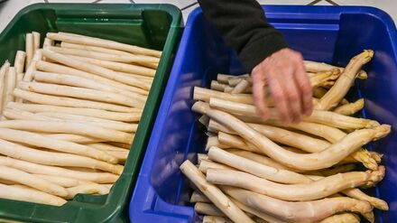 Talsohle der Saison ist erreicht: Regionaler Spargel ist aktuell verh&auml;ltnism&auml;&szlig;ig g&uuml;nstig zu bekommen