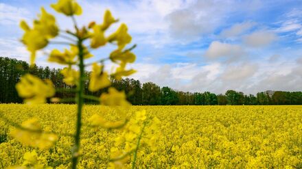 Wetter am Wochenende: Freundliches Wetter am Wochenende